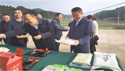 市委常委、政法委書(shū)記劉波濤帶隊(duì)調(diào)研指導(dǎo)定點(diǎn)幫扶村鄉(xiāng)村振興工作